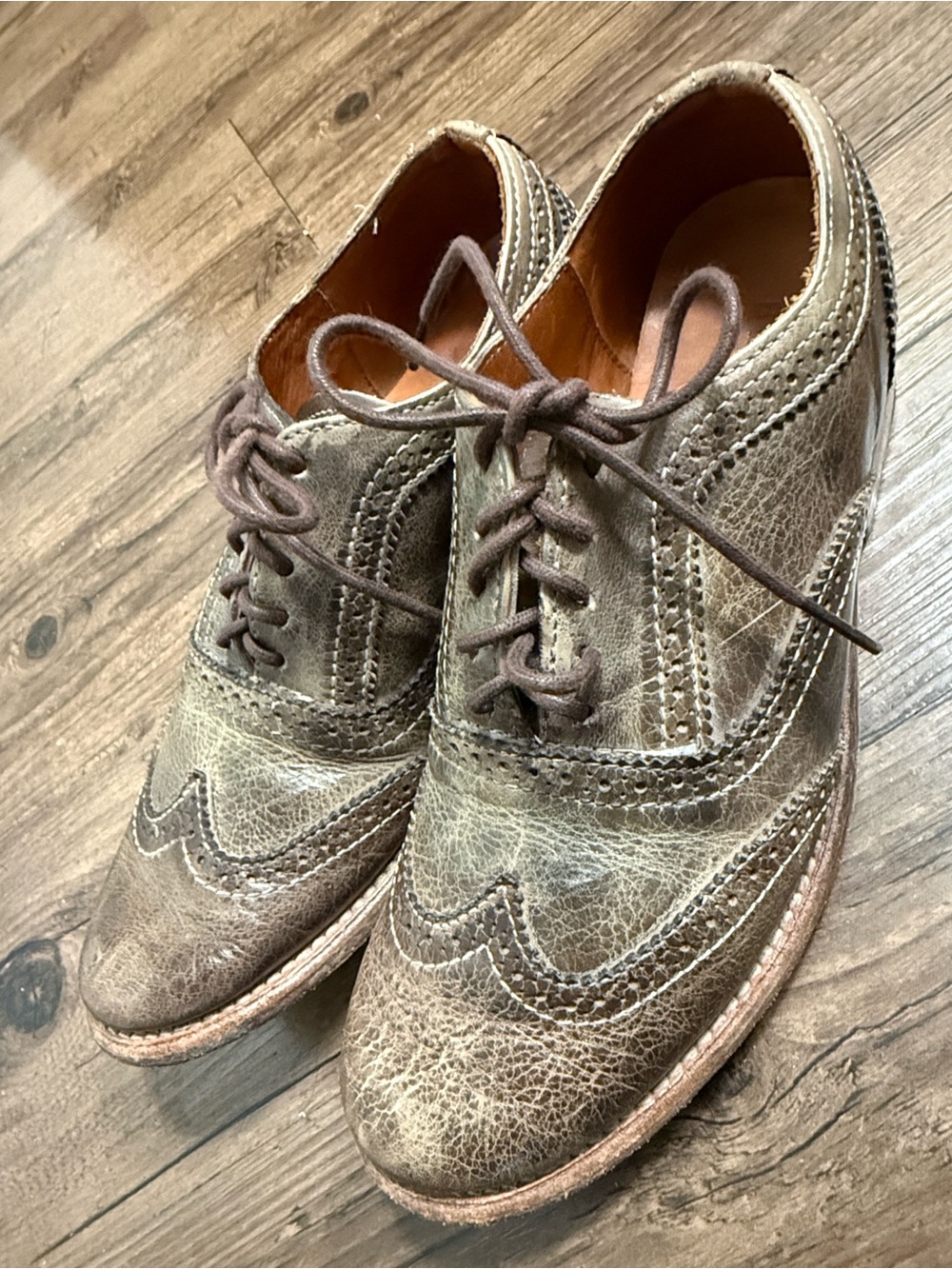 Bed Stu Wingtip Oxfords in Distressed Brown🔥